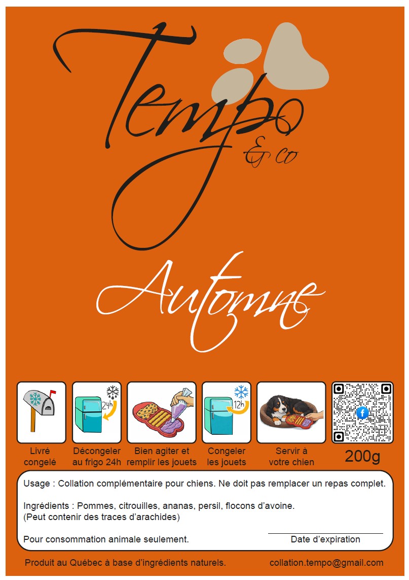 🐾 Ensemble Découverte : Collection Complète (Paquet de 6)