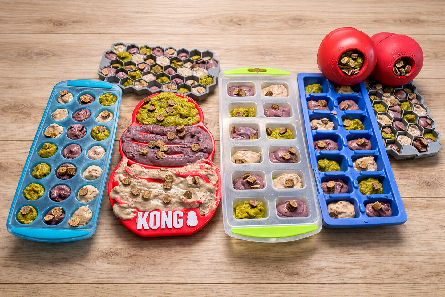 🐾 Ensemble Découverte : Collection Complète (Paquet de 6)