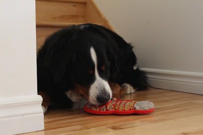 🐾 Ensemble Découverte : Collection Complète (Paquet de 6)